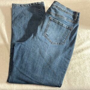 Gloria Vanderbilt Amanda Missy Average Jeans